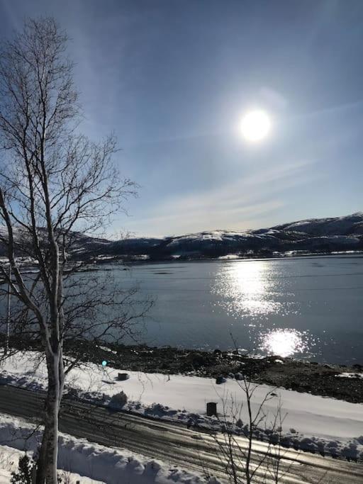 Trivelig Fritidshus Pa Arnes, Senja Straumstad Exterior photo